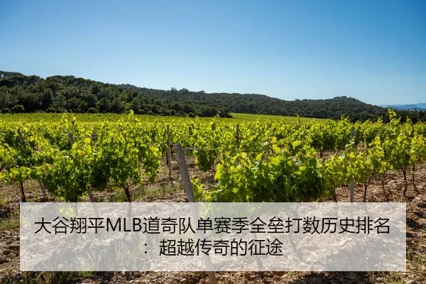 大谷翔平MLB道奇队单赛季全垒打数历史排名：超越传奇的征途