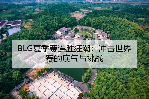 BLG夏季赛连胜狂潮：冲击世界赛的底气与挑战