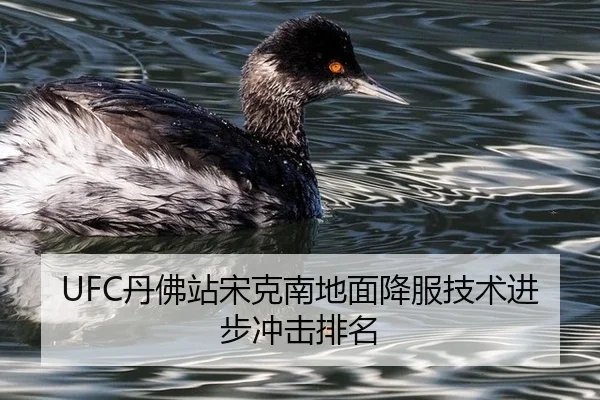 dan-fu-zhan-song-ke-nan-di-mian-xiang-fu-ji-shu-jin-bu-chong-ji-pai-ming-3-426.jpg