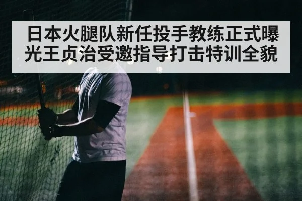 日本火腿队新任投手教练正式曝光王贞治受邀指导打击特训全貌