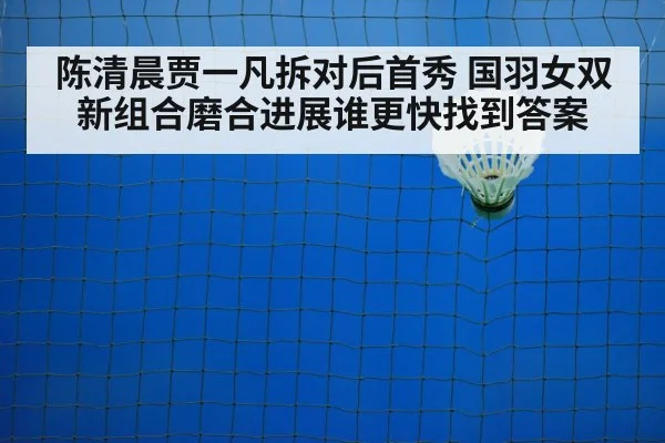 badminton training court